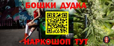 индика Абакан