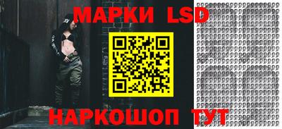 индика Абакан