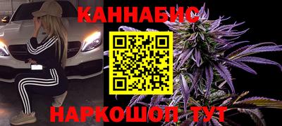 индика Абакан
