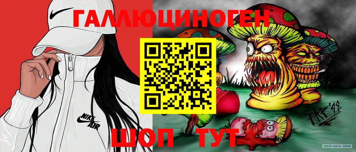 Псилоцибиновые грибы Psilocybe  Вход с VPN  Галлюциногенные грибы Psilocybine cubensis  Алейск 